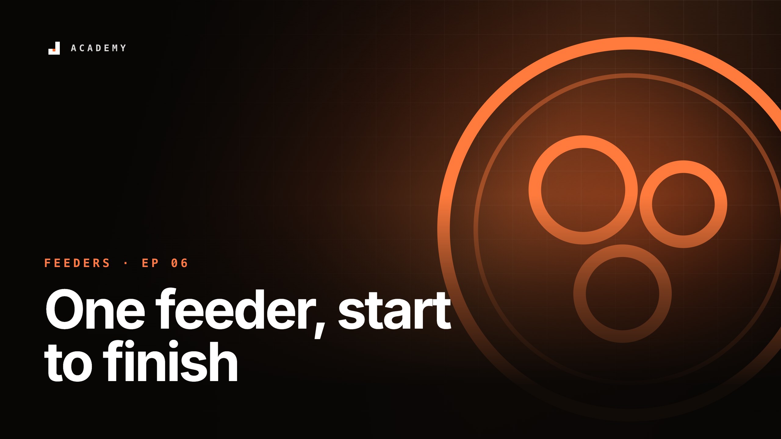 One feeder, start to finish, episode 6 of Feeders
